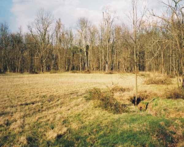 Spangler's Meadow